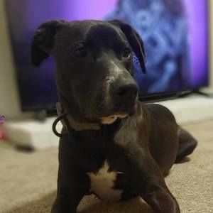 Meet your Posher, Kyle